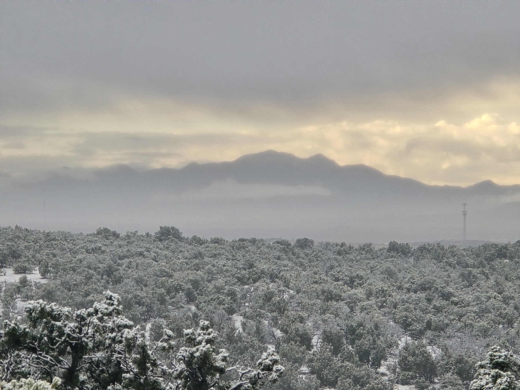 Fresh snow blankets evergreen trees and rolling hills beneath a gray overcast sky, with a tall communication tower on the right.