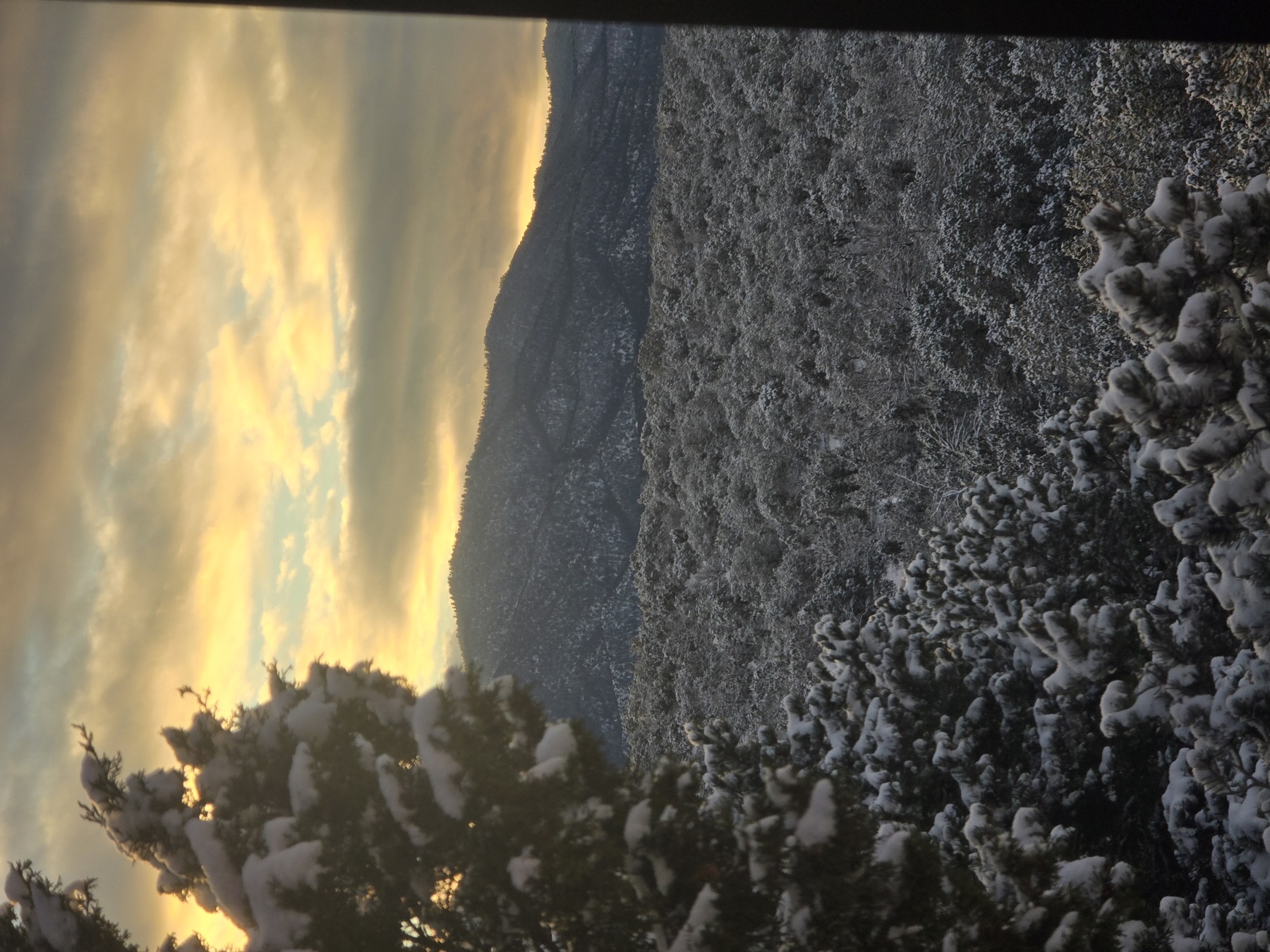 Golden sunrise light glows through snow-laden pine trees and across a snowy mountain ridge, viewed from behind a window frame.