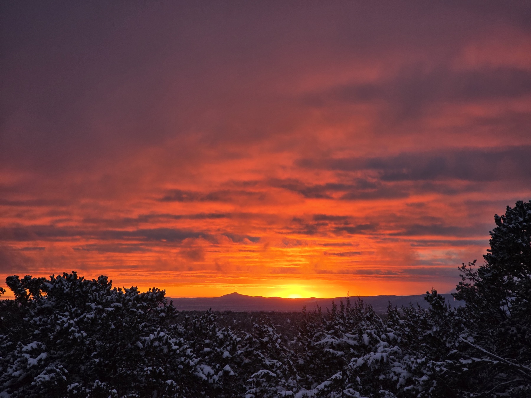 Intense orange and magenta clouds blaze above snow-laden evergreen trees and distant dark mountain ridges at sunset.