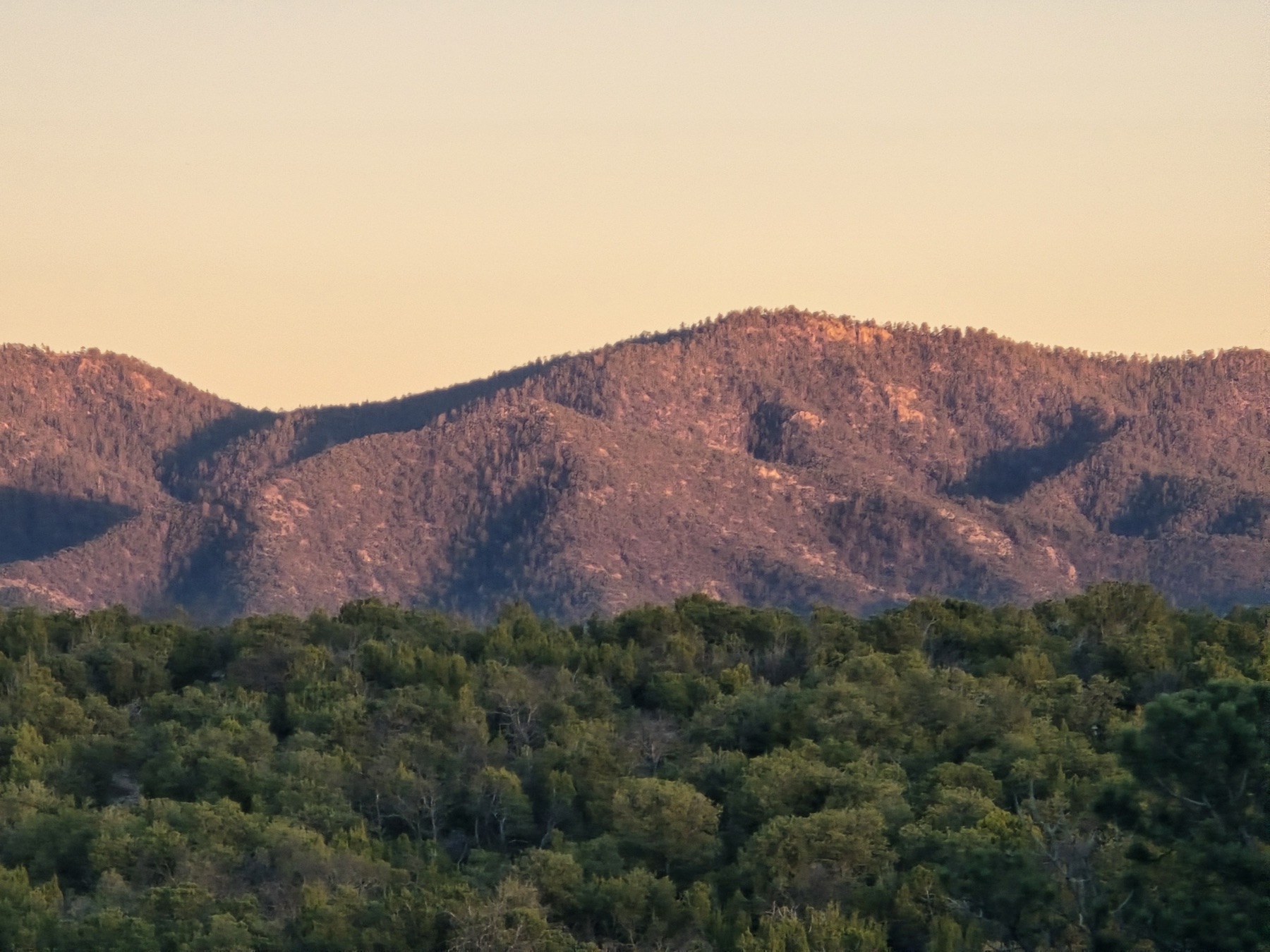 Rolling forest-covered mountain ridges catch warm golden sunset light while the foreground canopy glows deep green.