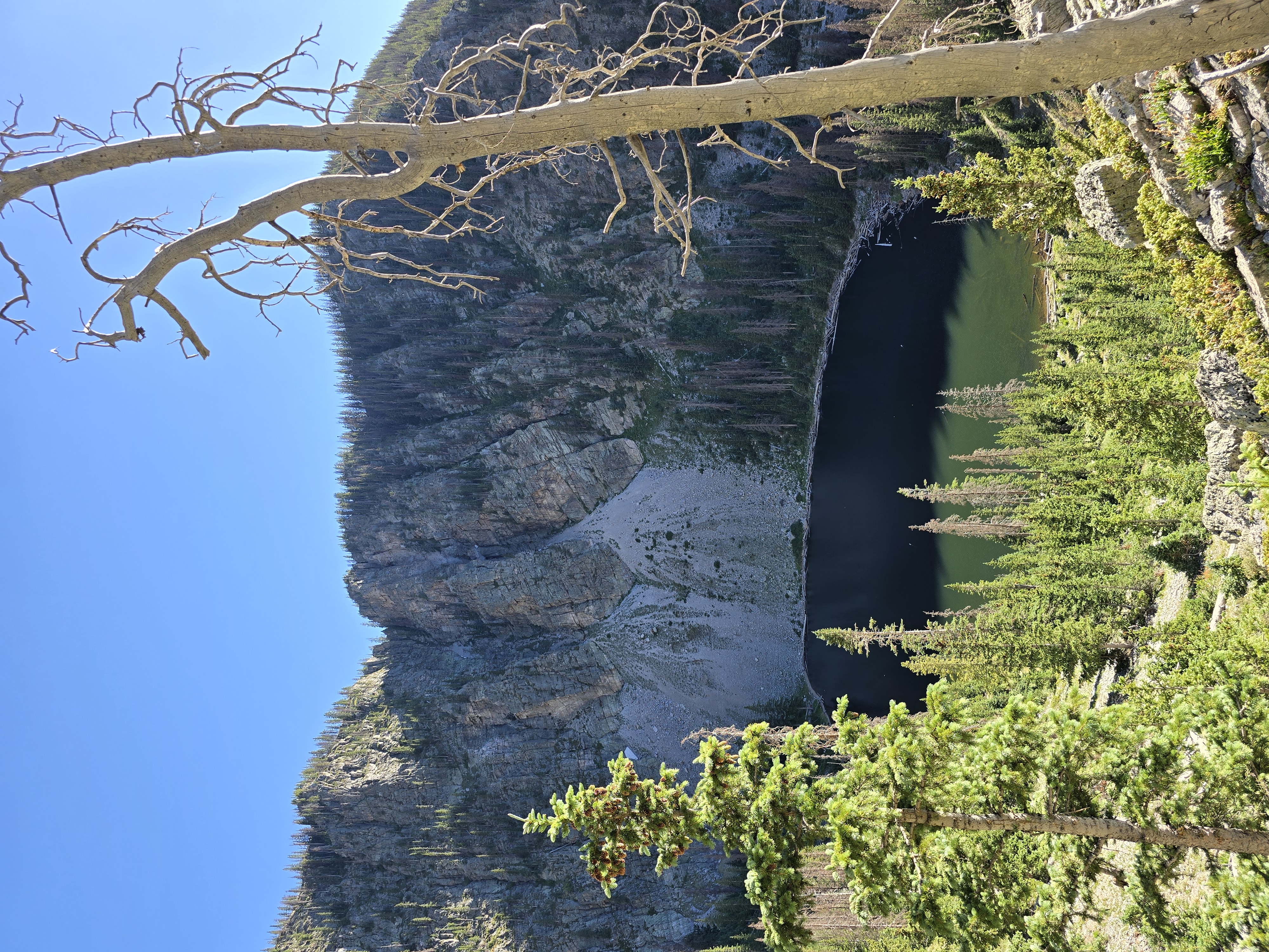 A high-angle view of a dark mountain lake nestled between steep rocky cliffs, framed by a dead tree branch in the foreground.