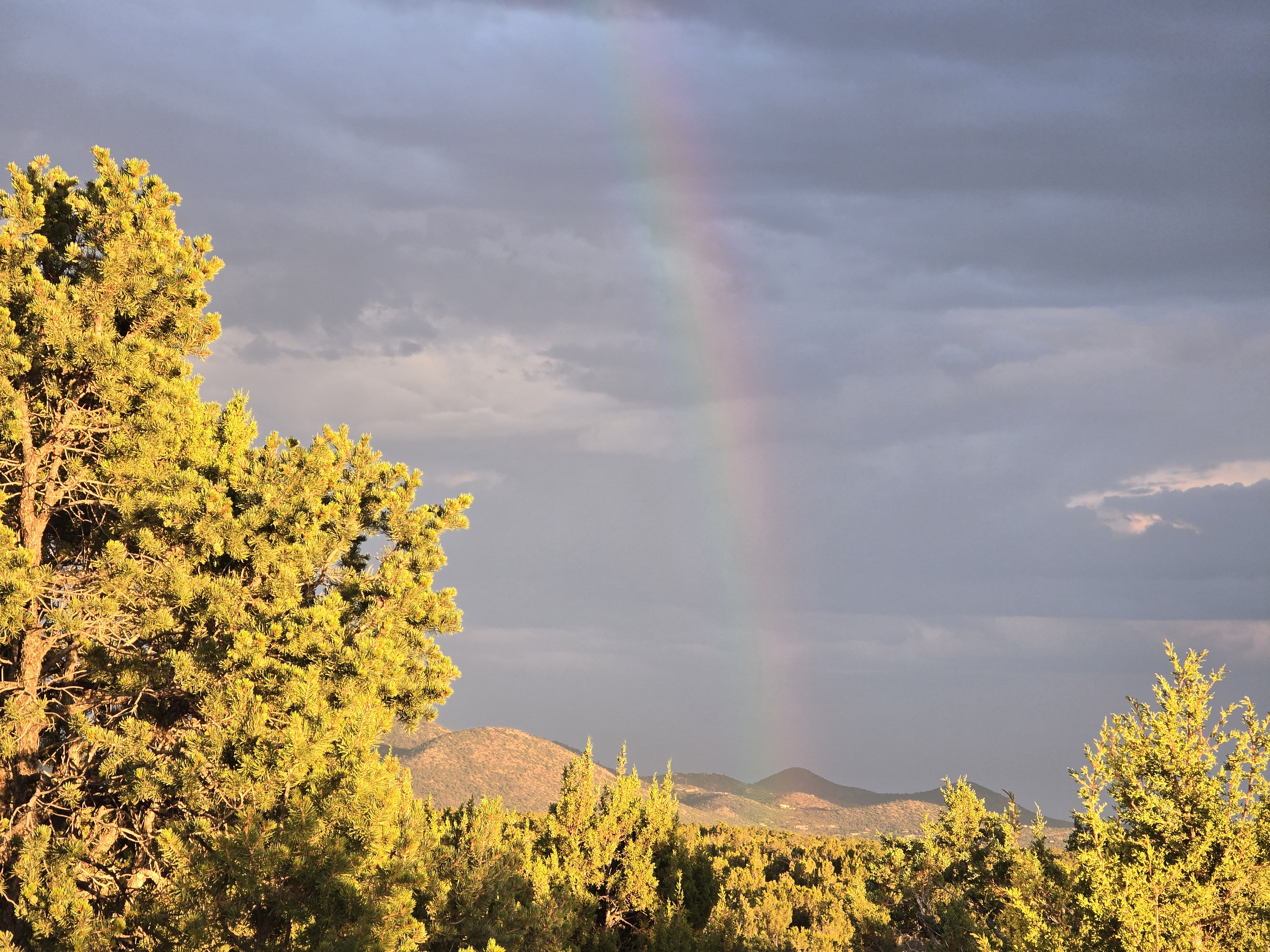 A vertical rainbow descends into golden-lit desert hills and juniper trees beneath heavy storm clouds.