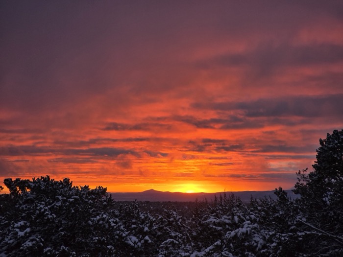 Intense orange and magenta clouds blaze above snow-laden evergreen trees and distant dark mountain ridges at sunset.