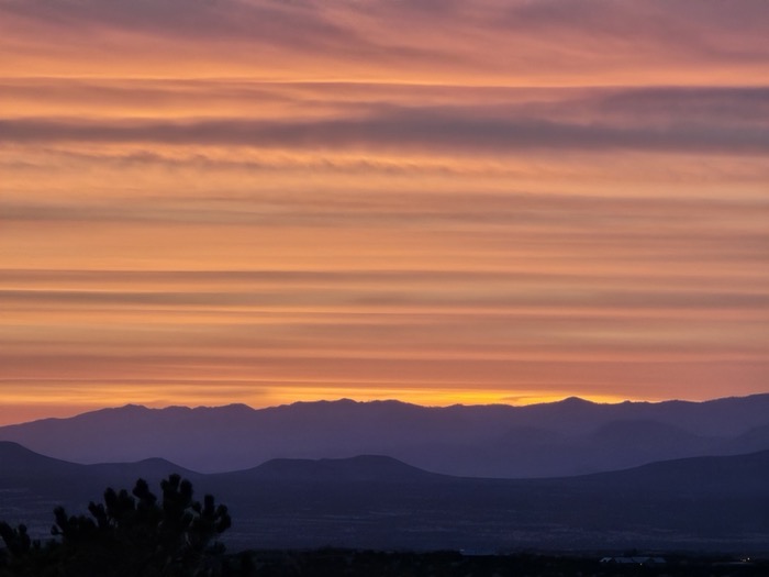 A lavender-to-orange twilight sky glows above layered purple mountain ridges with a silhouetted juniper in the foreground.